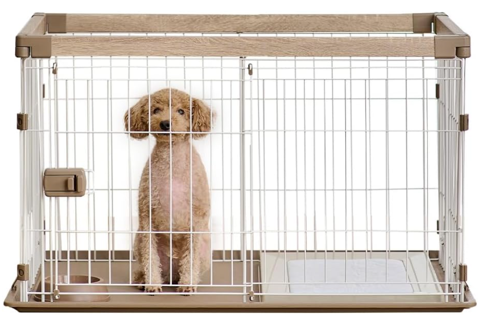 フレブル お迎え準備